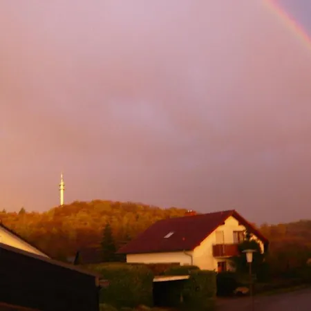 Grosse Sinsheim-duehren *